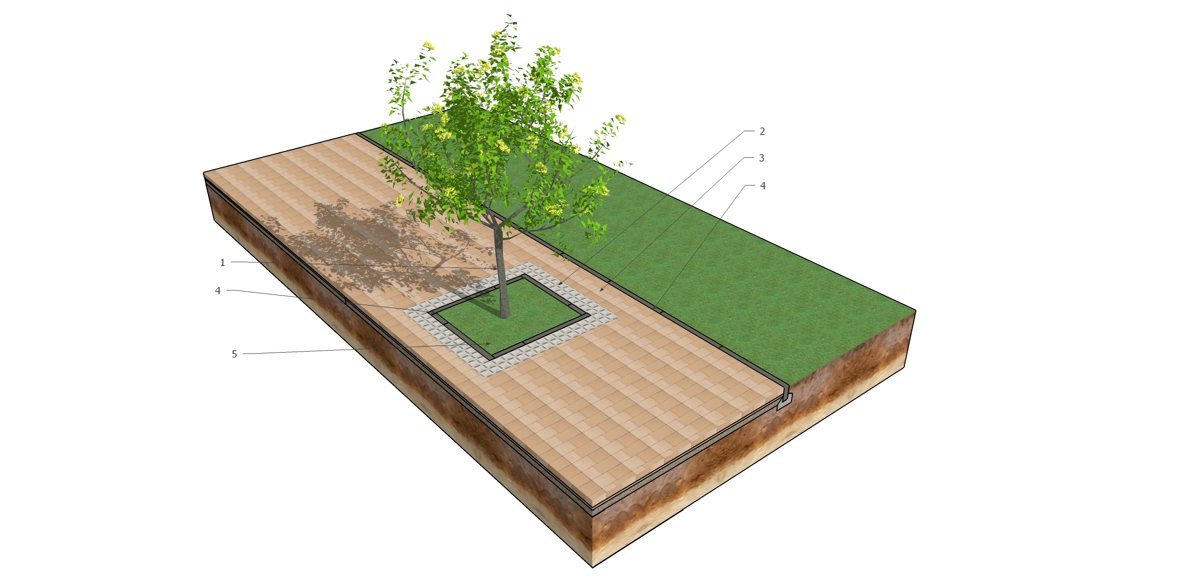 NAWIERZCHNIA MIĘDZY DRZEWAMI